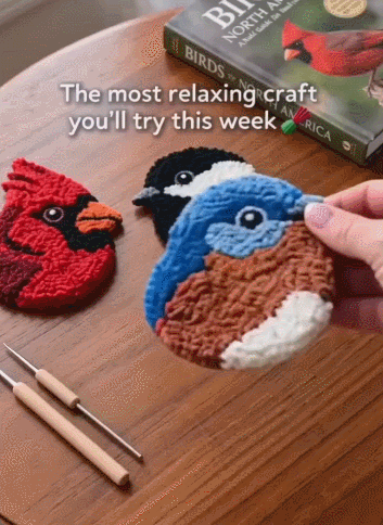 🐦🧶DIY Bird Coasters Punch Needle Kit☕